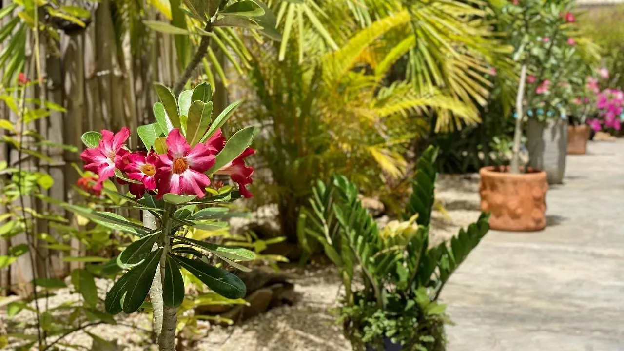 Tala Lodge Bonaire Kralendijk 0*,  Bonaire, Sint Eustatius en Saba