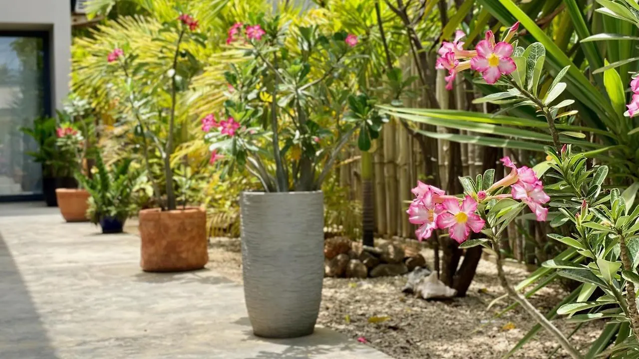 Tala Lodge Bonaire Kralendijk